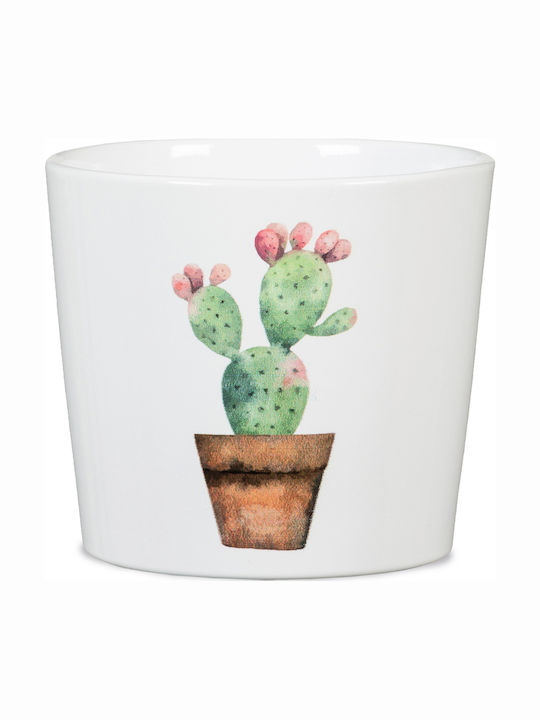 Scheurich Cactus Garden Mini-Carla 870