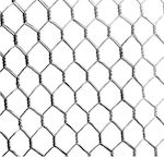 Hexagonal grid (chicken wire) galvanized 1/2''' 1 meter A'' quality Greek