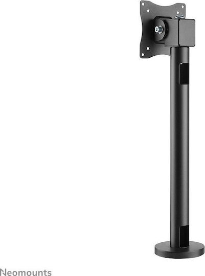 Newstar Ständer Auf dem Schreibtisch Bildschirm bis zu 32" (NS-DPOS100BLACK)