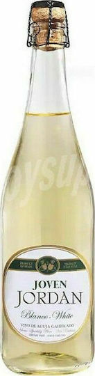 Joven Jordan Wein Weiß Trocken 750ml
