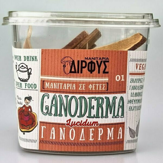 Μανιτάρια Δίρφυς Μανιτάρια Γανόδερμα Νο.1 40gr
