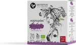 Dictamus Παραδοσιακό Herbs Blend Organic Product 20 Bags 20gr