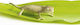 Autocolant Decorativ Perete Chameleon Green 1buc 68x23buc Kleine Wolke