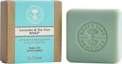 Neal's Yard Remedies Сапунено Блокче с Лавандула и Чаено Дърво Масло от Плод на Палма 100гр Neal's Yard Remedies Сапунено Блокче с Лавандула и Чаено Дърво Масло от Плод на Палма 100гр