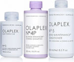 Olaplex Blonde Enhancer At Home Kit Hair Treatment Set for Colored Hair with Shampoo 3pcs