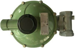 Reca Gas Regulator Internal Setting Maximum Flo...