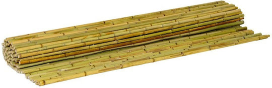 Showood Bamboo Fencing With Whole Reed Bamboo 2.5x3m