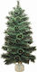 Christmas Tree Casmere 90cm in Pot