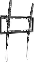 Schwaiger Tilt 2 LWHT5535513 Suport TV Montat Pe Perete Până La 75" Schwaiger Tilt 2 LWHT5535513 Suport TV Montat Pe Perete Până La 75"