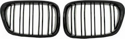 Dekorative Auto Maske BMW E39 / Serie 5 / Serie 5 (E39)
