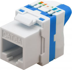 Techly 028580 Keystone
