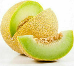 Geoponiki Seeds Melon Galia Yellow 100pcs