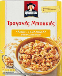 Quaker Γκρανόλα Βρώμης 450gr