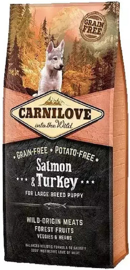 Carnilove Salmon & Turkey Puppy Large 4kg Dry Food Grain-Free for Large Breed Puppies with Turkey and Salmon