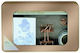 Abysse Cinderella Stationery Kids Stationery Set with Pencil, Eraser and Notepad
