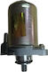 Piaggio Motorcycle Starter Motor for Piaggio ZIP / Typhoon Piaggio 2T Fly/Zip/Typhoon50 Starter Motor 15901
