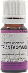 Αλεξόπουλος Μπαχαρικά-Βότανα & Τσάι Salveo Έλαιο Τροφίμων 10ml