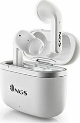NGS Artica Crown