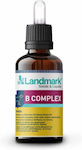 Landmark Nutripet B Complex Syrup for Dogs 50ml