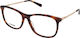 Moschino Eyeglass Frame Brown Tortoise MOL589 05L