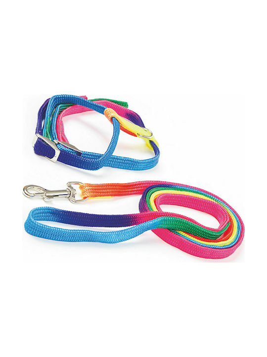Kerbl Rainbow Harness Set Katzenleine mit Anleitung Regenbogen Breite 10mm 83191 Kerbl Rainbow Harness Set Katzenleine mit Anleitung Regenbogen Breite 10mm 83191