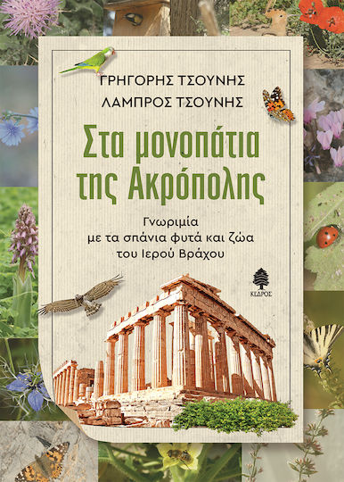 Στα Μονοπάτια της Ακρόπολης , Getting to know the Rare Plants and Animals of the Sacred Rock
