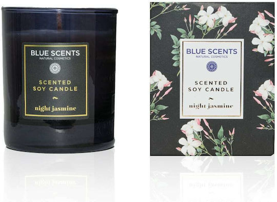 Blue Scents Αρωματικό Σόγιας Night Jasmine σε Βάζο Μαύρο Blue Scents Αρωματικό Σόγιας Night Jasmine σε Βάζο Μαύρο