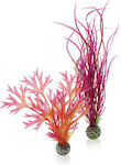 Oase BiOrb Plant Set M Red Pink Aquarium Ornament Artificial Plant 46058