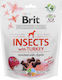 Brit Care Dog Insekten & Türkei Hundeleckerlis mit Gänsefleisch 200gr