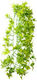 Hobby Aquaristik Climber Ivy Hanging Accessory for Reptiles Terrarium