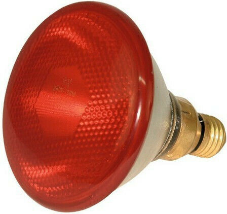 Kerbl Economy Infrared Red Zubehör für Reptilienterrarium
