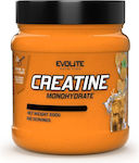 Evolite Creatine Monohydrate Оранжево 500гр