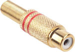 RCA female Connector 1pc