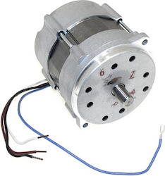 Motor (code Riello 3008451)