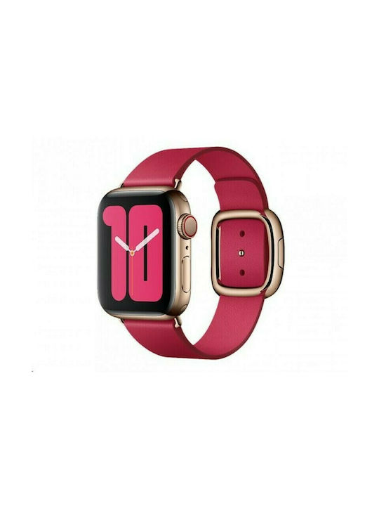 Scarlet sales modern buckle