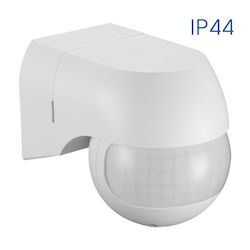 Vivalux Rafi SR18 Vivalux Rafi SR18