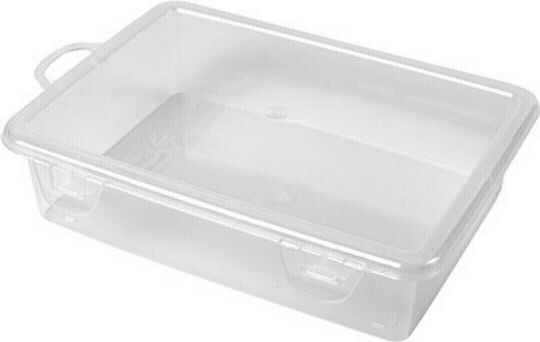 Hega Hogar Plastic Cutie de Depozitare cu Capac Transparent 15.7x11.2x3.5cm 1buc