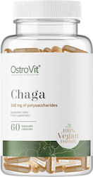 OstroVit Chaga 240mg 60 κάψουλες OstroVit Chaga 240mg 60 κάψουλες