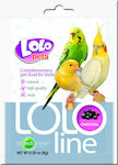 Lolo Pets Food Supplement for Songbirds Charcoal for Birds 8gr