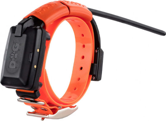 Dog Trace X30T GPS Elektrisches Hundehalsband