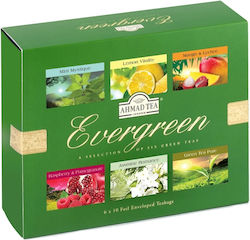 Ahmad Tea Τσάι Evergreen 10 Φακελάκια 6τμχ Ahmad Tea Τσάι Evergreen 10 Φακελάκια 6τμχ