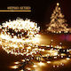 1412 300 Weihnachtslichter LED 22für eine E-Commerce-Website in der Kategorie 'Weihnachtsbeleuchtung'. Warmes Weiß Elektrisch vom Typ Zeichenfolge mit Grünes Kabel und Programmen