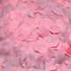Dream Love Diablo Picante Petals Erotic Set of Pink Rose Petals 100 Pieces
