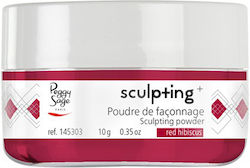Peggy Sage Sculpting Pulver Für Acrylnägel