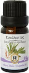 Herbstore Ätherisches Öl Eukalyptus 10ml