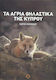 Τα Άγρια Θηλαστικά της Κύπρου
