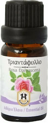 Herbstore Essential Oil Rose 10ml