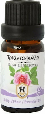 Herbstore Essential Oil Rose 10ml