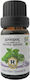 Herbstore Ulei Esențial Organic Mentă Verde Comestibil 10ml