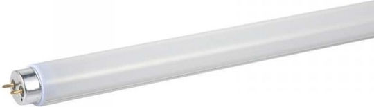 Philips Λάμπα Φθορίου για Ντουί G5 με Σχήμα T5 35W